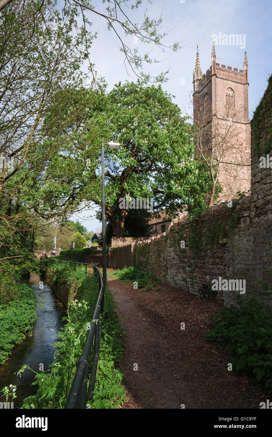 Fiume Frome marciapiede in Chipping Sodbury con la medievale torre della chiesa di San Giovanni Battista, in primavera. Foto Stock