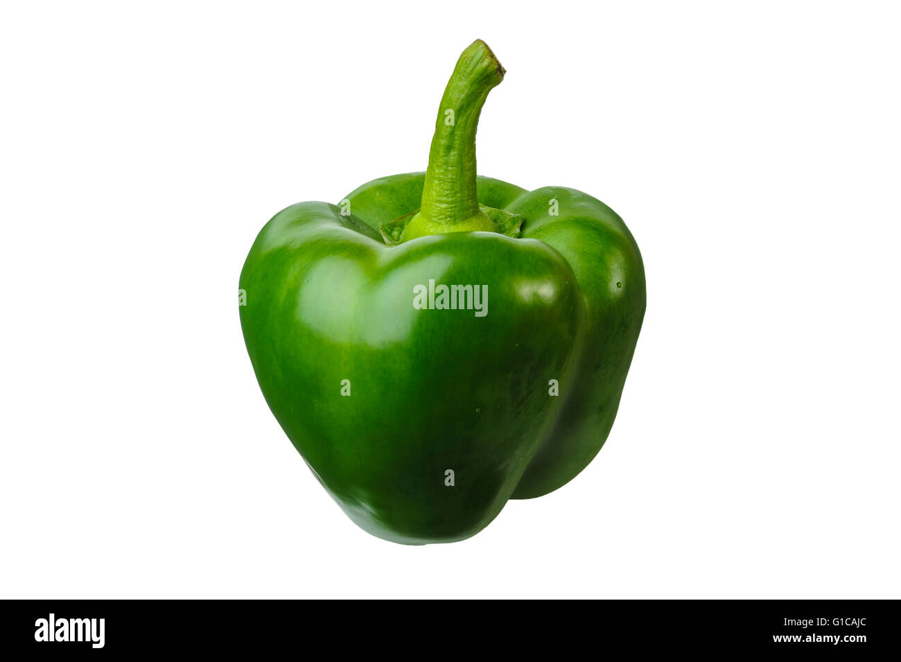 Peperone verde Capsicum Foto Stock