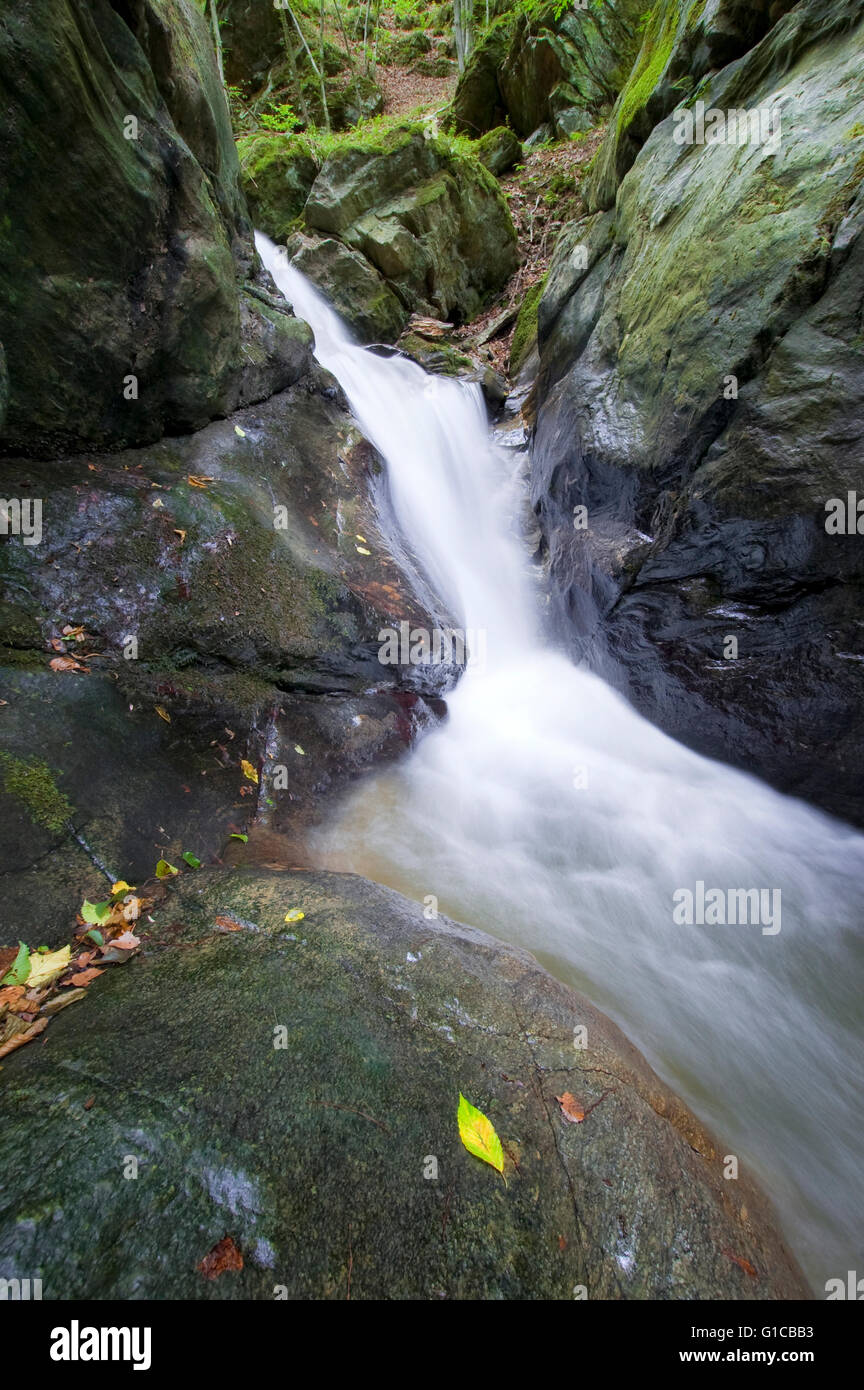 Cascata sul flusso di foresta paesaggio naturale Foto Stock