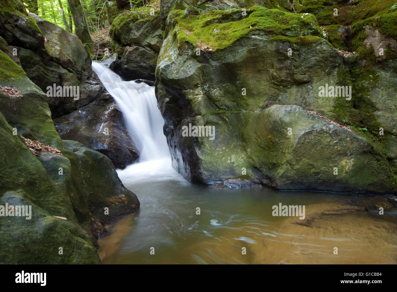 Cascata naturale sul flusso nella foresta verde Foto Stock