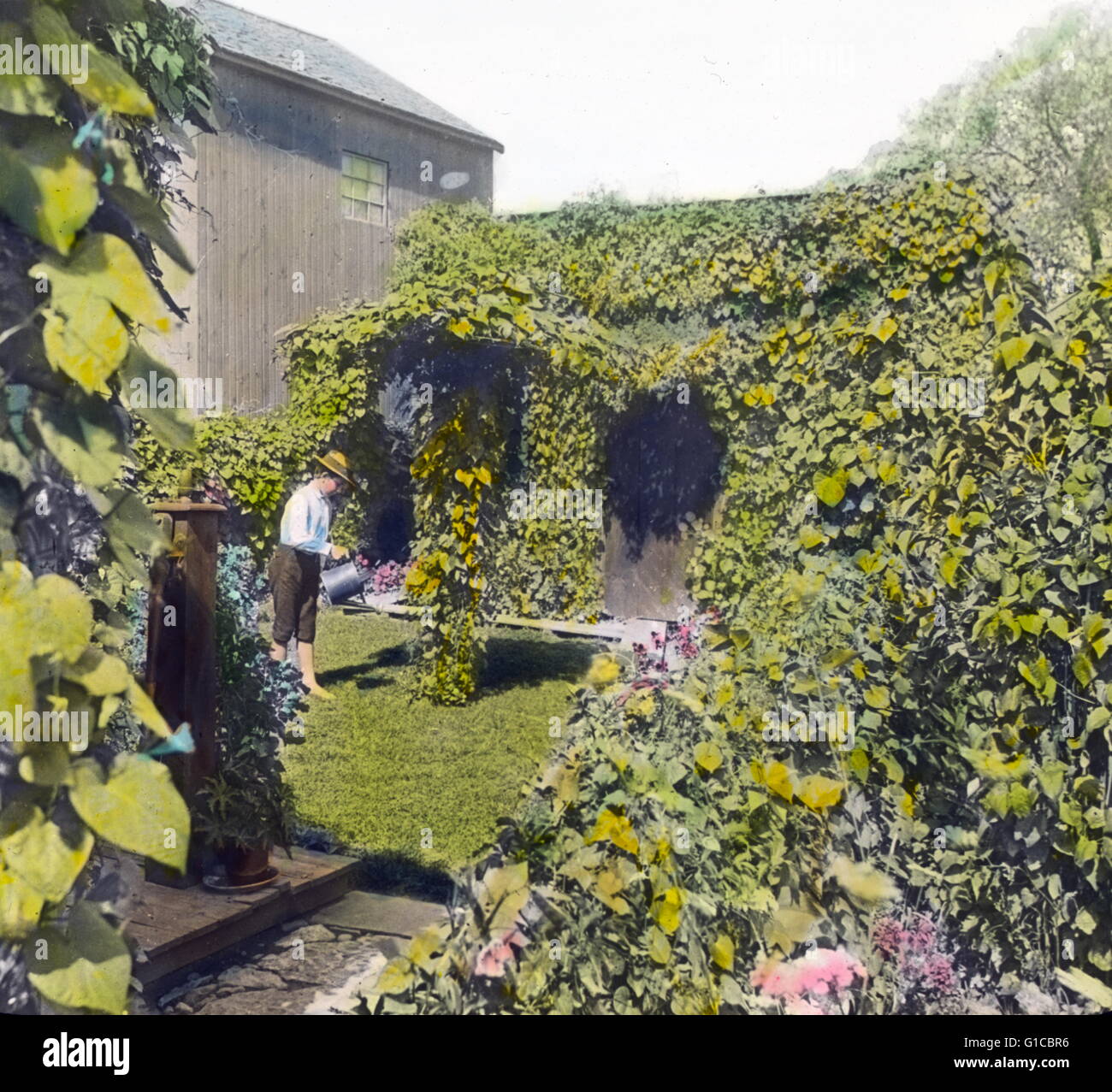 Colorate a mano lanterna in vetro scorrono fotografia di un giardino da Frances Benjamin Johnston (1864-1952) docente. Datata 1905 Foto Stock