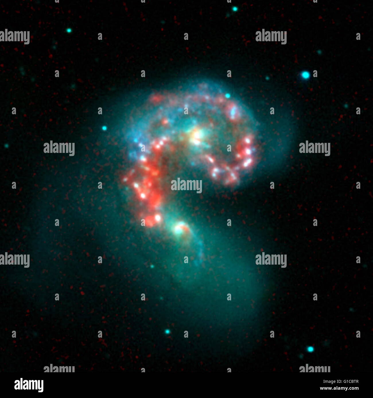 Falsa immagine colorata dal telescopio spaziale Spitzer rivelando una le popolazioni nascoste di nuovo nato stelle al cuore della collisione di 'Le antenne' galassie Foto Stock