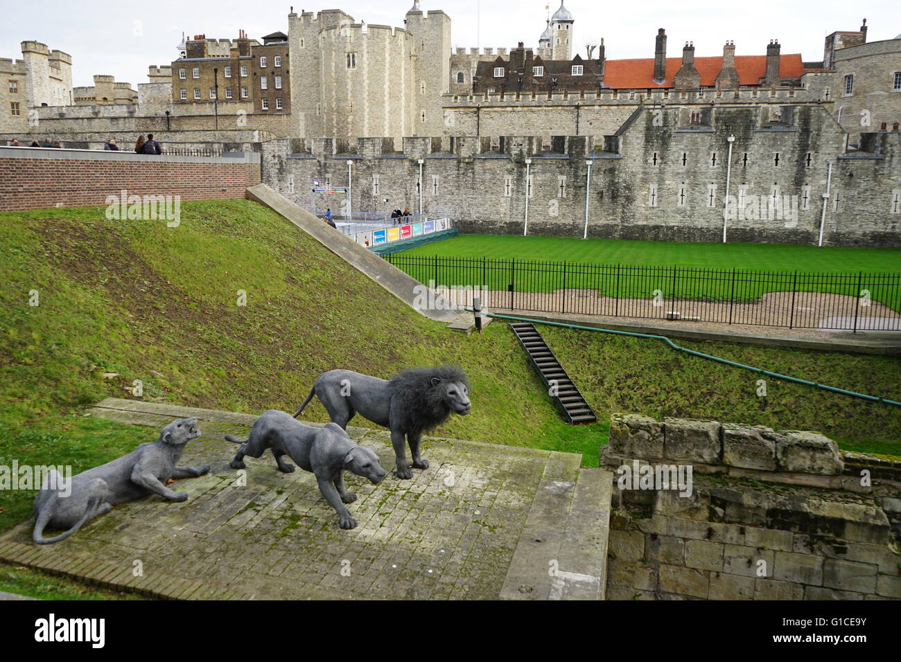 Vista la replica Lion's tenuti presso la Torre di Londra sin dal Medioevo. Recante la data del XXI secolo Foto Stock