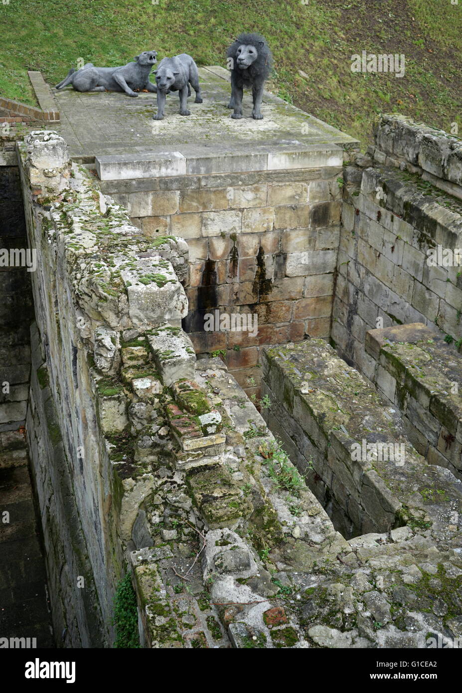 Vista la replica Lion's tenuti presso la Torre di Londra sin dal Medioevo. Recante la data del XXI secolo Foto Stock