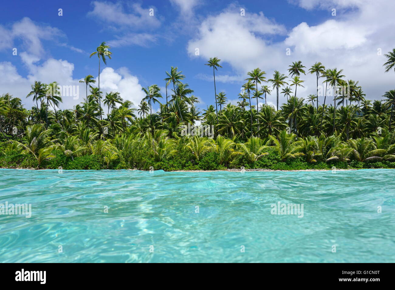 Costa con palme da cocco e acque turchesi di un isolotto di Huahine, visto dalla superficie del mare oceano Pacifico, Polinesia Francese Foto Stock