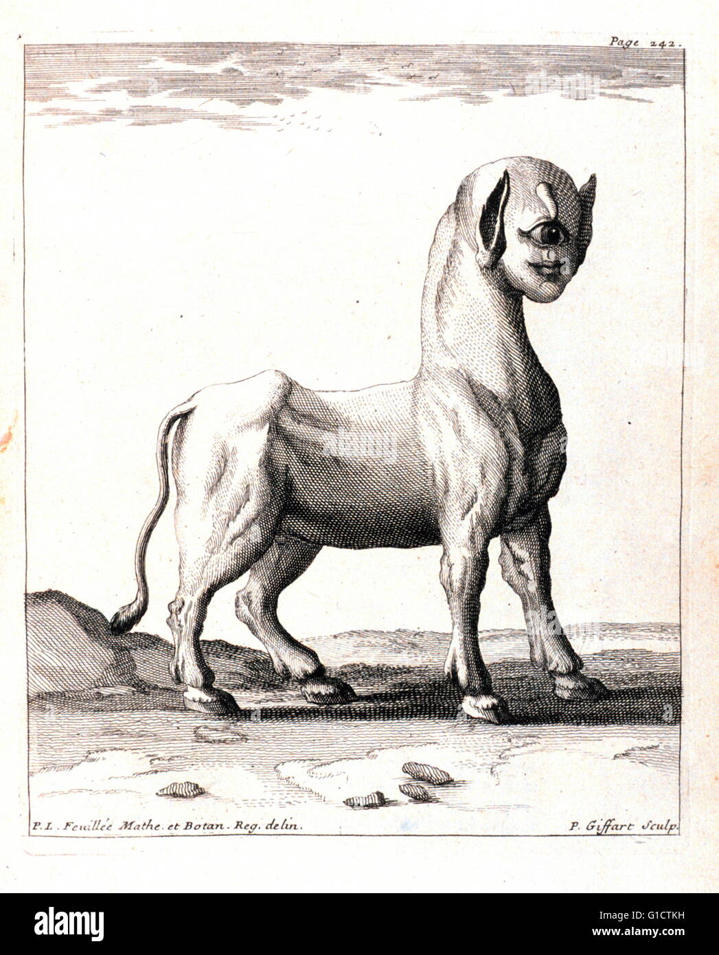 Una rappresentazione di viaggiatori di uno eyed monster dal Sud America. Un mostro nato di una pecora". In: "Journal des osservazioni Physiques; Mathematiques et Botaniques' da Louis Feuillee; 1660-1732. Pubblicato nel 1714 Foto Stock