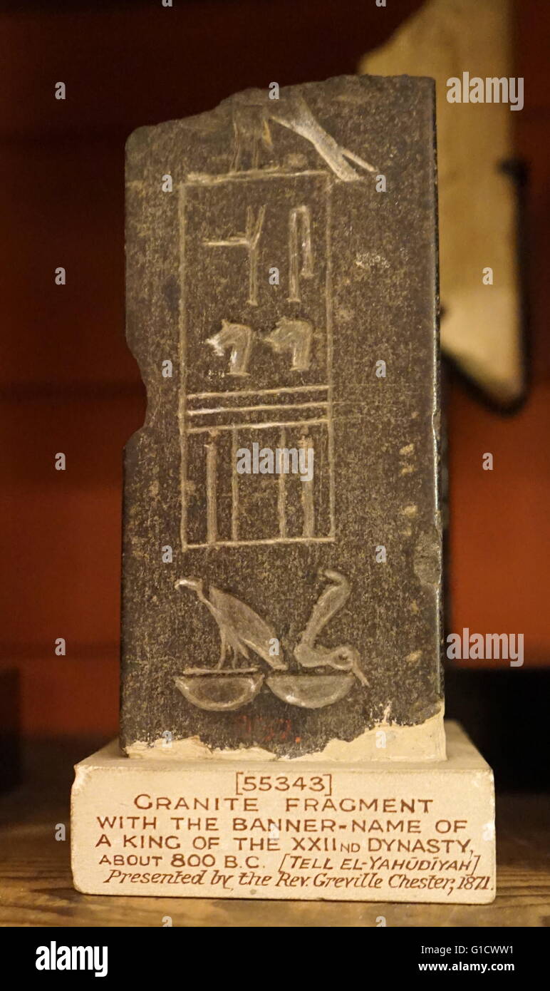 Frammento di granito con geroglifici. Datata IX secolo A.C. Foto Stock