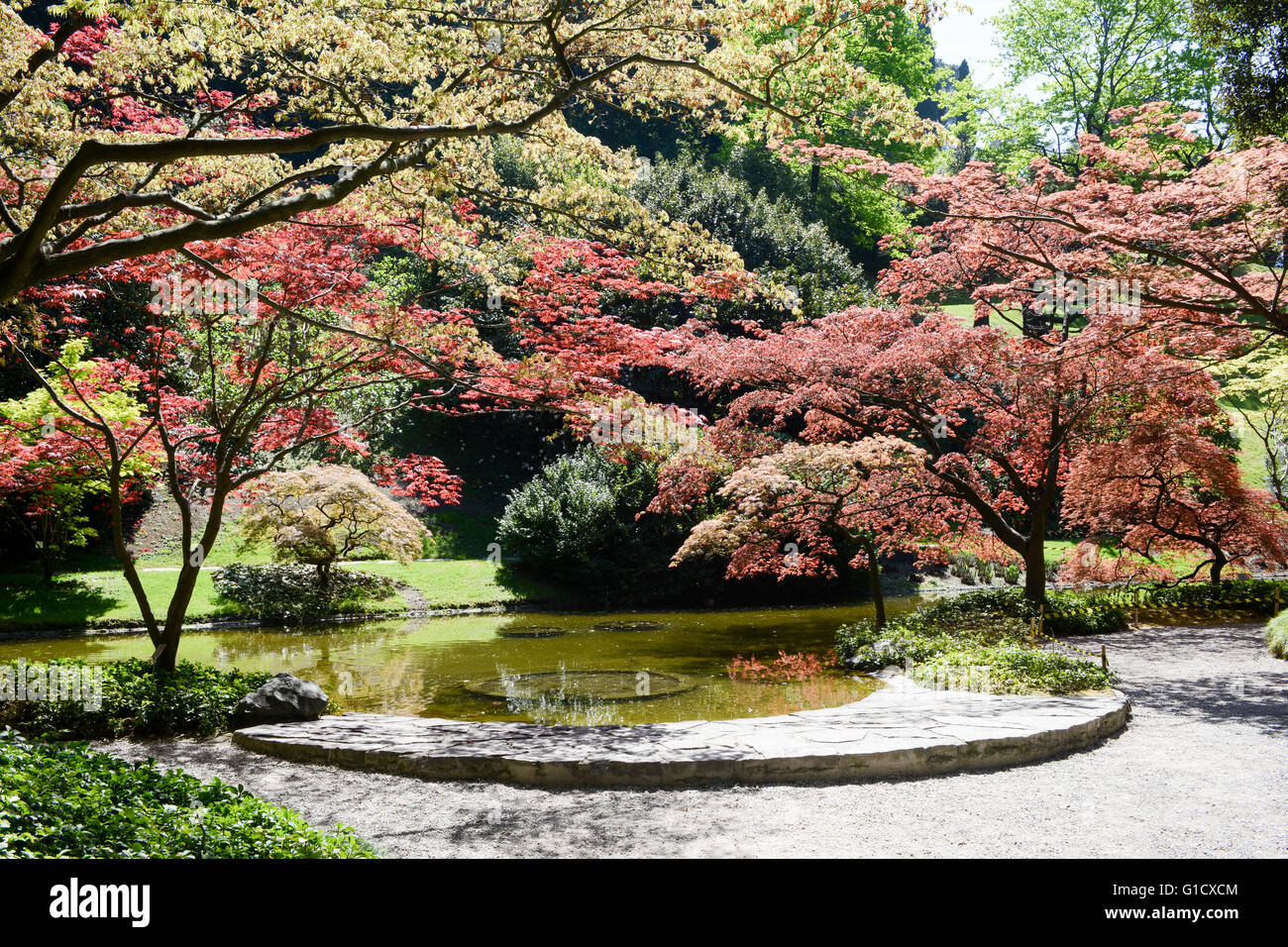 Giardini di Villa Melzi sul Lago di Como, Italia Foto Stock