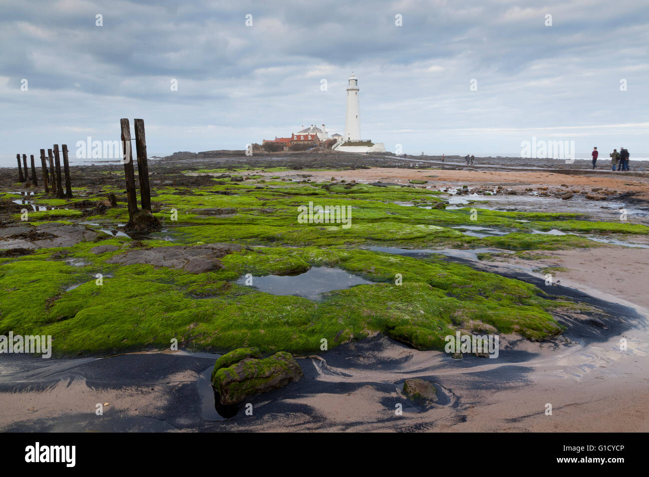 Santa Maria del faro, Whitley Bay, Newcastle, Regno Unito Foto Stock