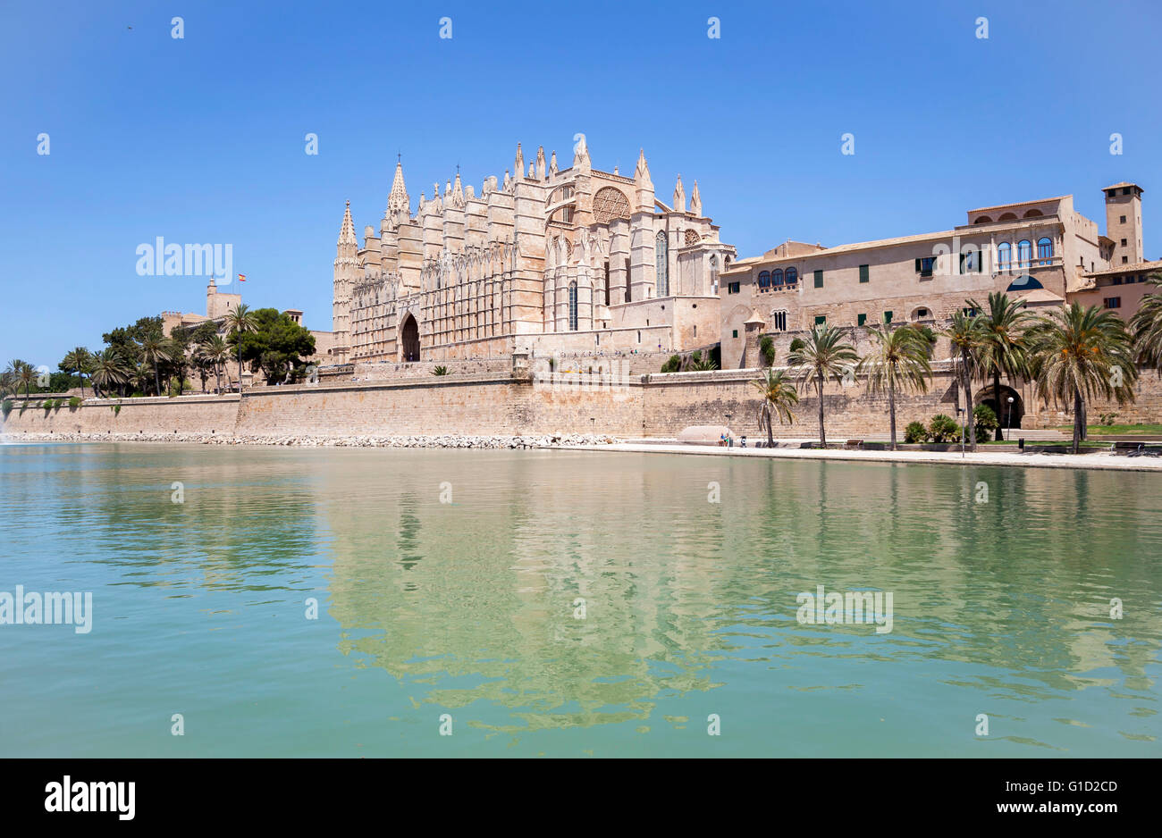 Cattedrale di Palma de Maiorca riflettendo in verde acqua, Spagna Foto Stock