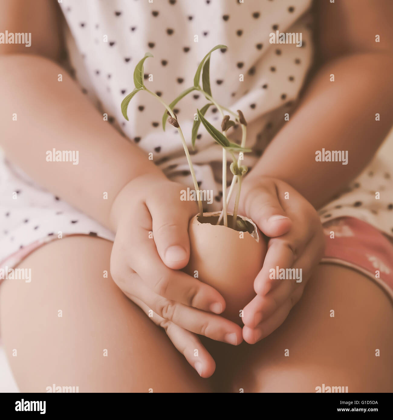 Un bambino ragazza con giovani piante nel guscio d'uovo, eco-NOZIONE Foto Stock