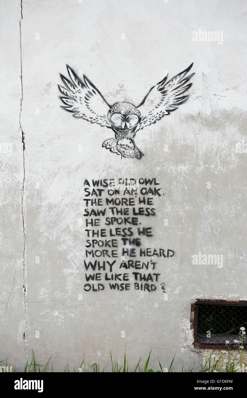 Un saggio di gufo vecchia filastrocca poesia, memorabile spray preventivo graffiti impresse sulla parete di edificio in Kazimierz Dolny, Polonia, l'Europa. Foto Stock