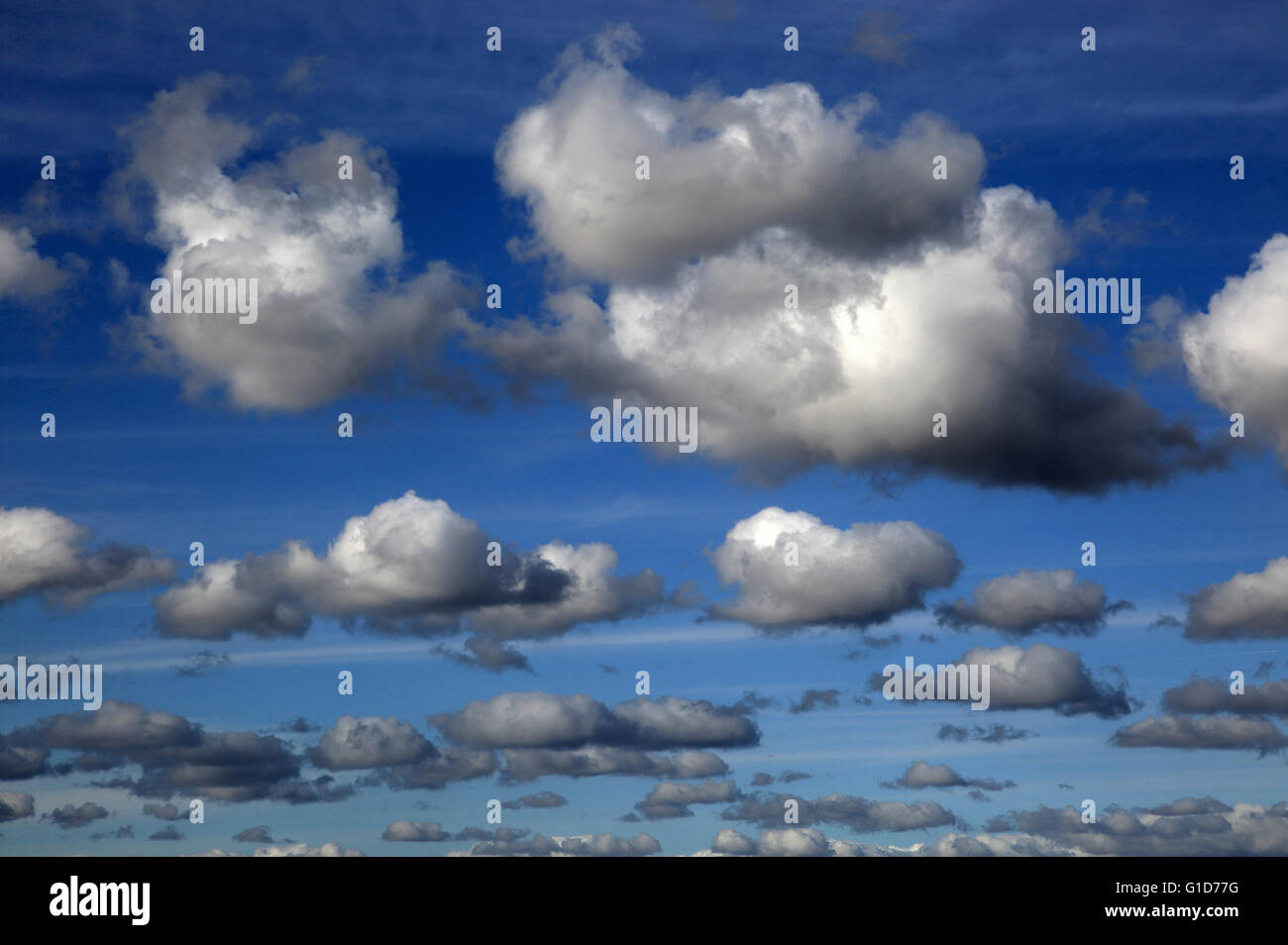 Cumulus nubi nel cielo blu su Bawdsey e a Alderton, Suffolk, Inghilterra, Regno Unito Foto Stock
