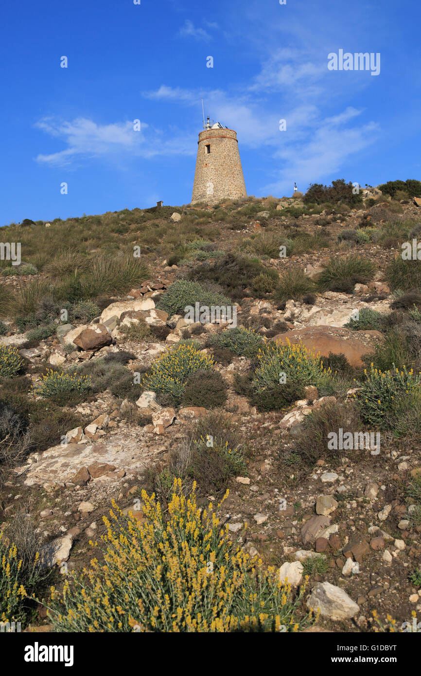 Torre Vigia de Los Lobos torre di avvistamento, Rodalquilar, Parco Naturale Cabo de Gata, Almeria, Spagna Foto Stock