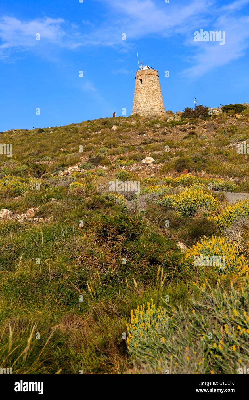 Torre Vigia de Los Lobos torre di avvistamento, Rodalquilar, Parco Naturale Cabo de Gata, Almeria, Spagna Foto Stock