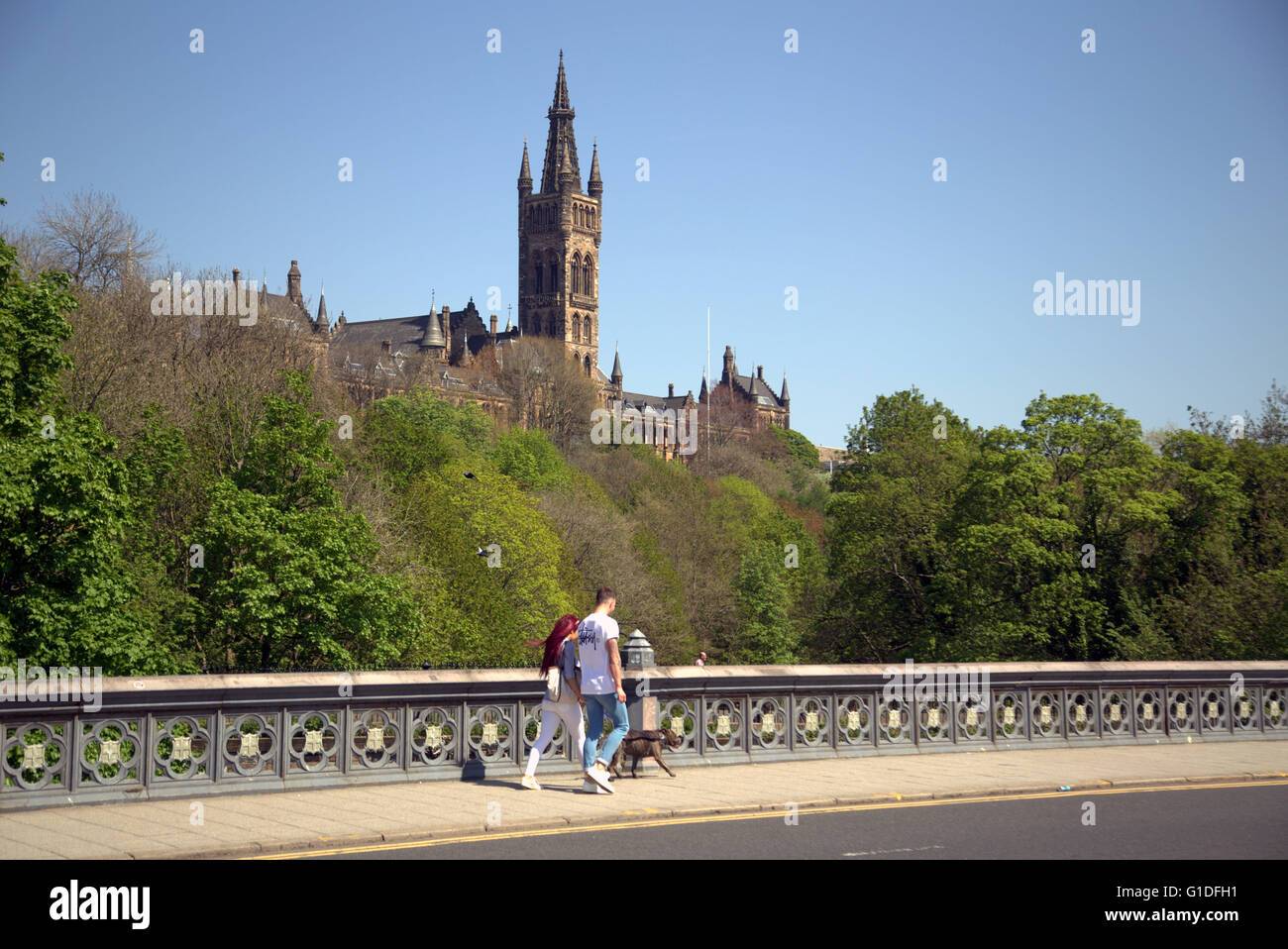 Università di Glasgow dal fiume Kelvin bridge nel west end Kelvingrove Park, Glasgow, Scotland, Regno Unito. Foto Stock