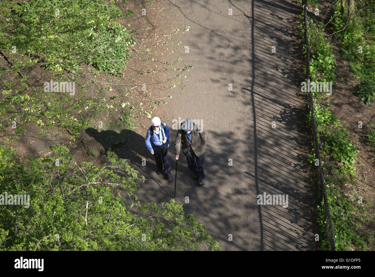 I cittadini anziani vecchia coppia camminando in Kelvingrove Park shot dal di sopra in una giornata di sole, Kelvingrove Park, Foto Stock