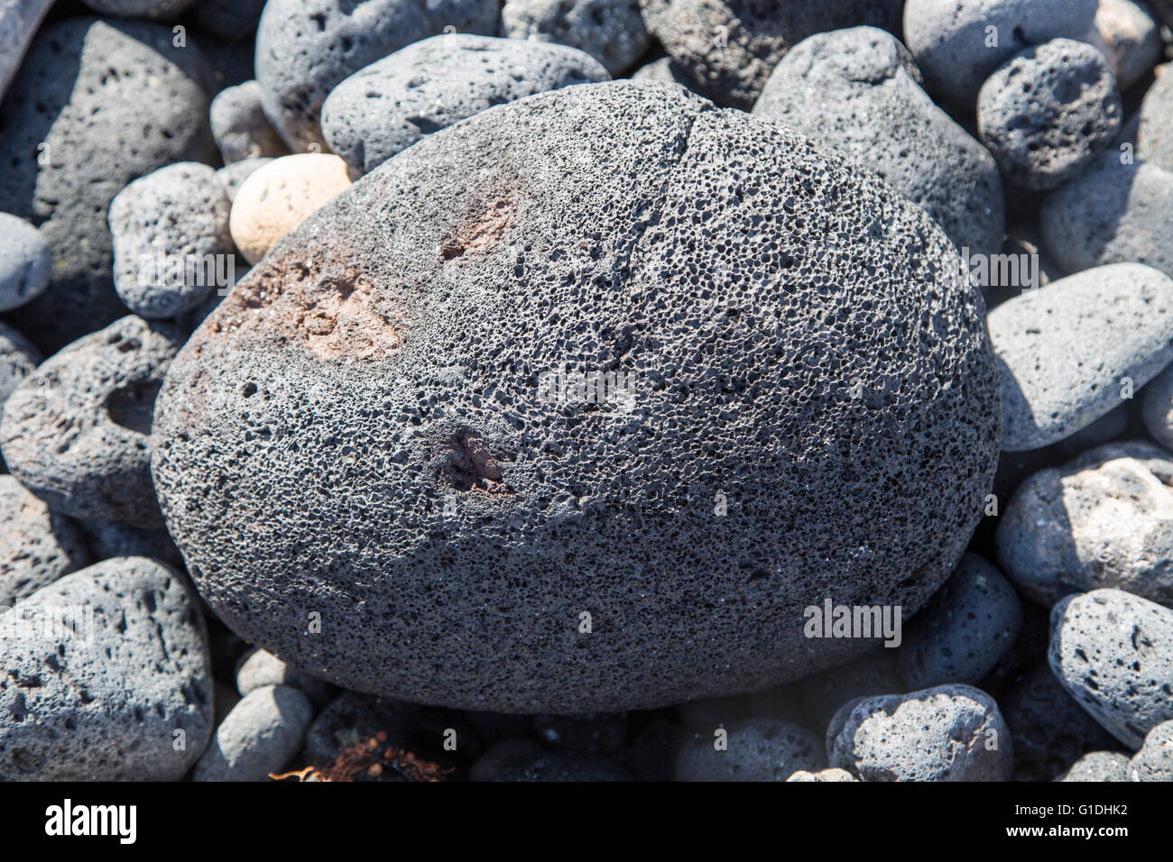 Grande pietra pomice arrotondati spiaggia ciottoli, Caleta de Caballo, Lanzarote, Isole canarie, Spagna Foto Stock