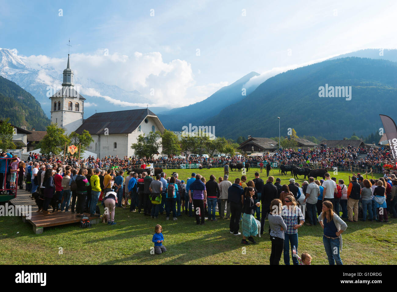 L'Europa, Francia, Haute Savoie, Rodano Alpi, Servoz, combattere des reines, Battaglia delle Regine mucca lotta Foto Stock