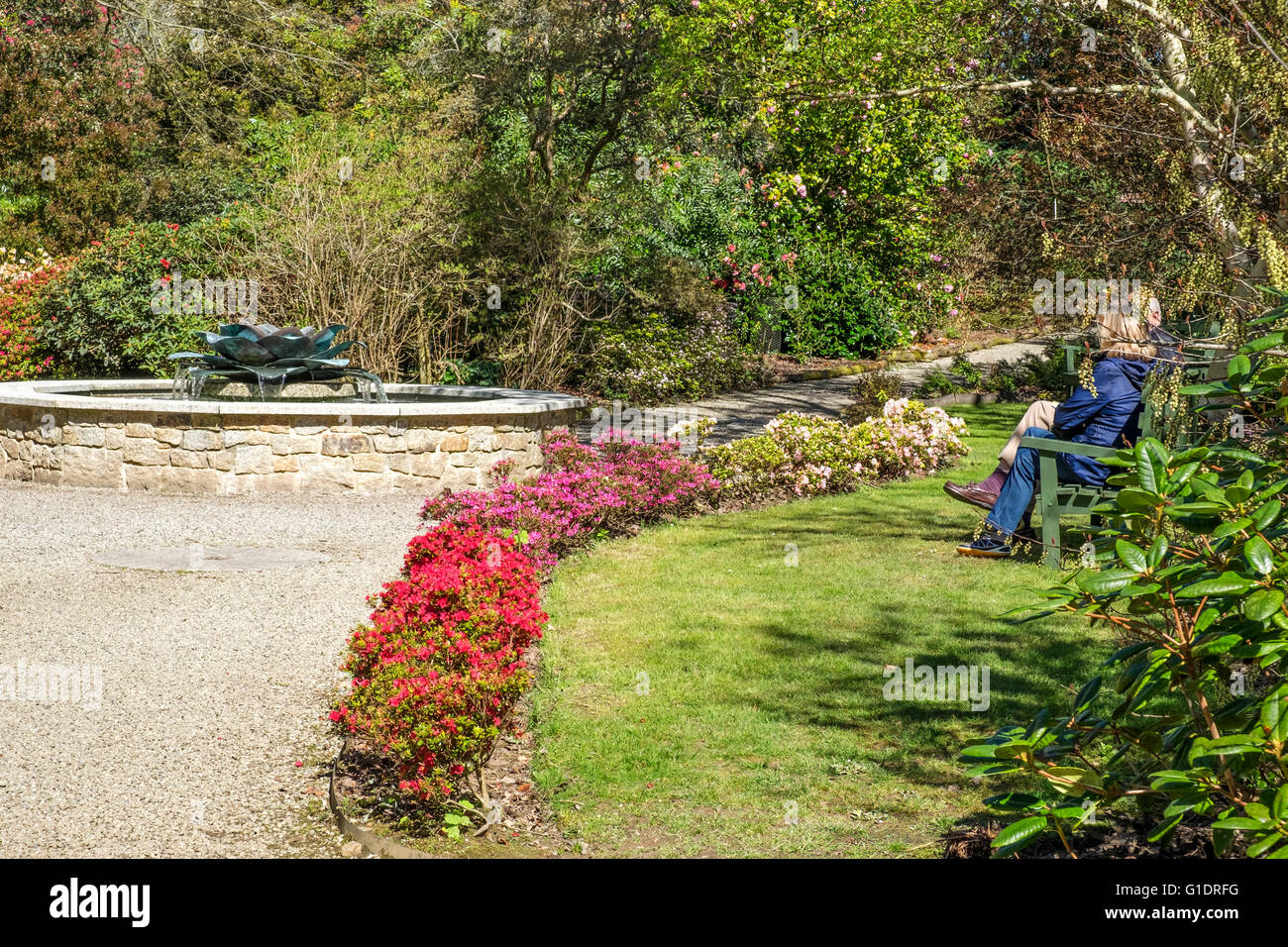 I giardini di Trewithen vicino a Truro, Cornwall, Regno Unito Foto Stock