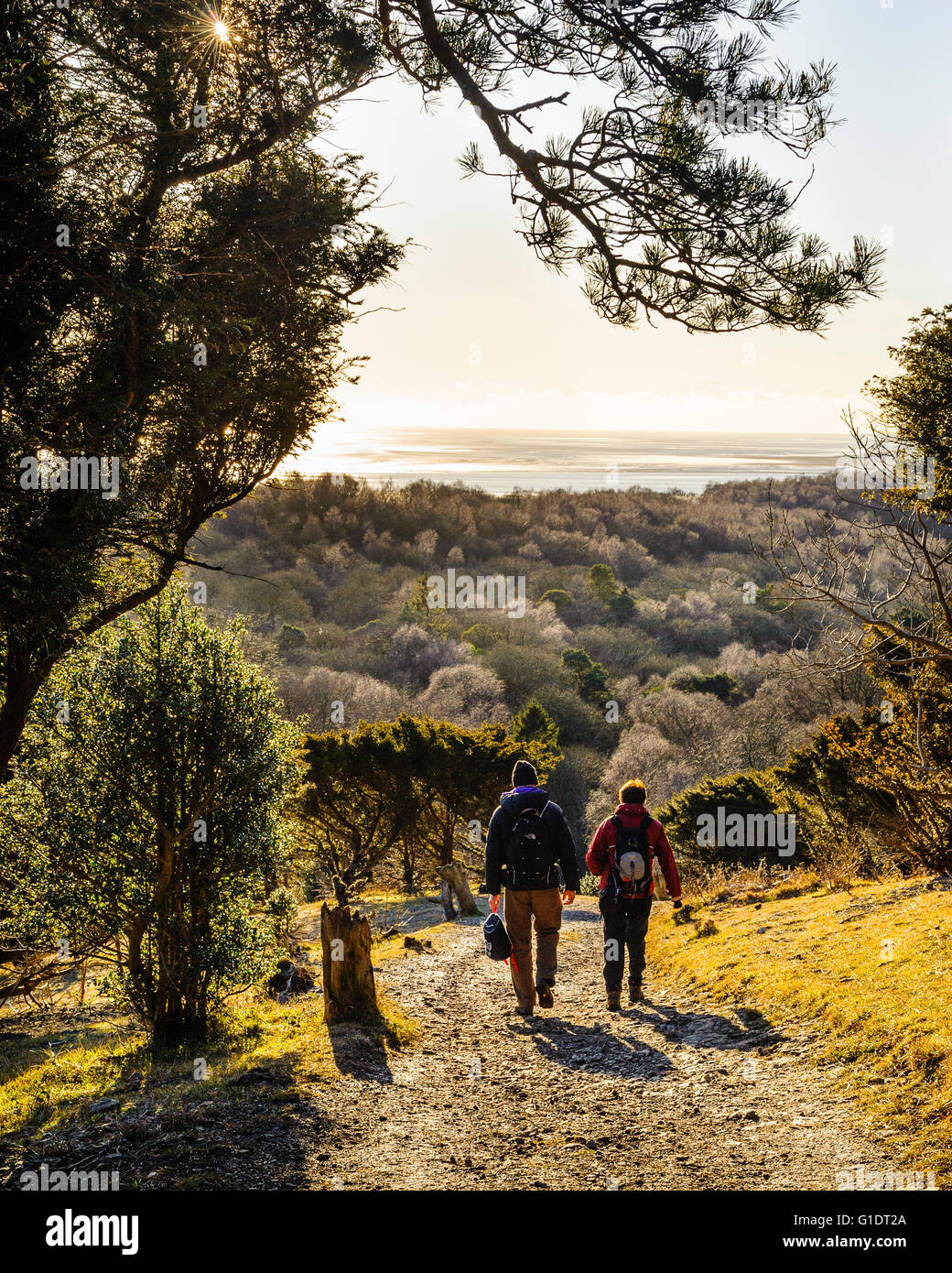 Walkers discendente da Arnside Knott in Arnside-Silverdale Area di straordinaria bellezza naturale Cumbria con vista su Moreca Foto Stock