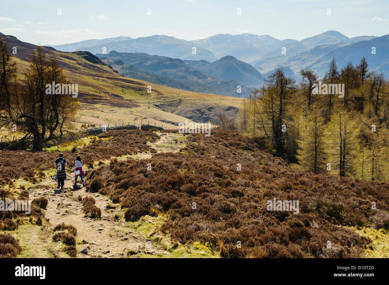 Al di sopra degli scuotipaglia Walla roccioso nel distretto del lago guardando verso Borrowdale Scafell Pike e grande timpano Foto Stock