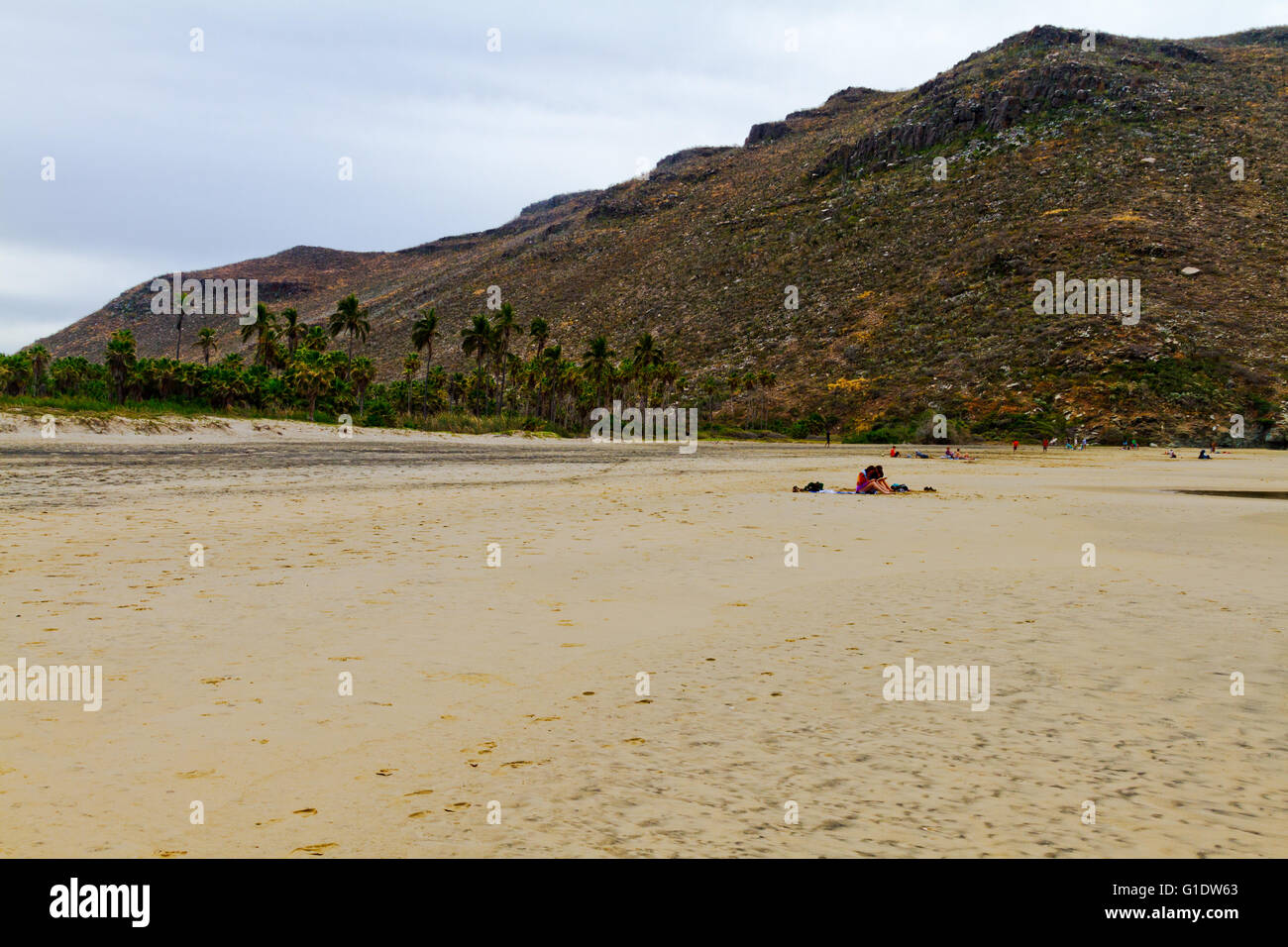 Las Palmas (spiaggia Playa Las Palmas) vicino a Todos Santos, Baja California Sur, Messico. Foto Stock
