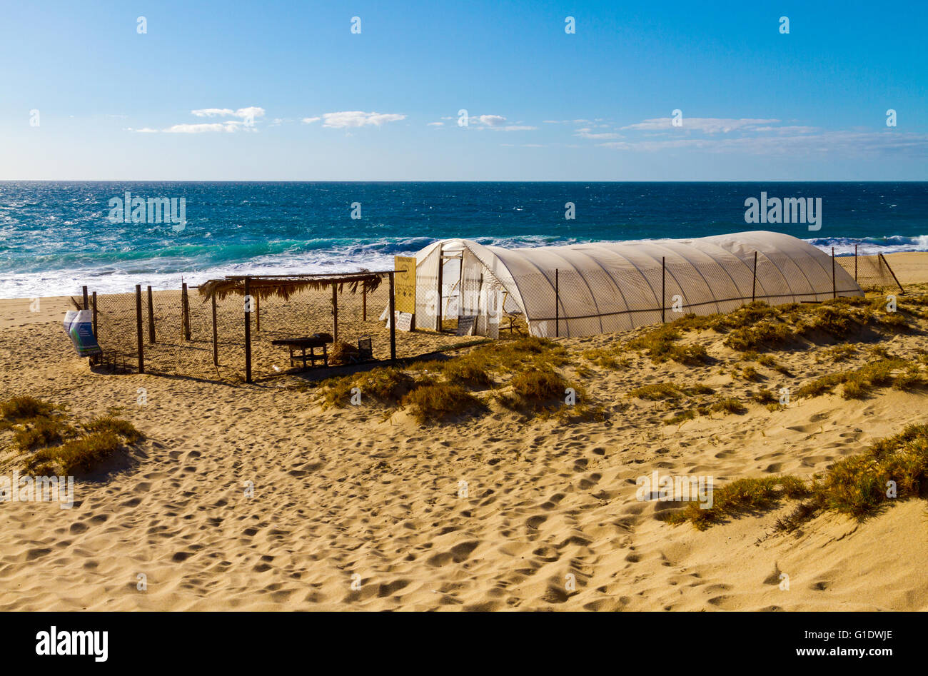 Struttura protetta sulla spiaggia per aiutare a salvare le tartarughe di mare vicino a Todos Santos, Baja California Sur, Messico. Foto Stock