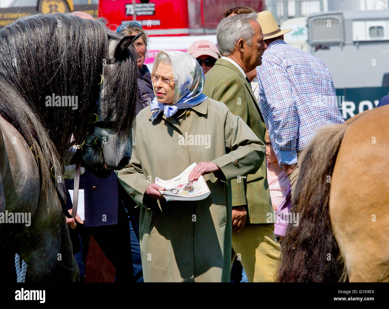 Windsor, Regno Unito. 13 Maggio, 2016. Sua Maestà la Regina Elisabetta I membri di famiglie reale inglese frequentare il Royal Windsor Horse Show, si svolge nel terreno privato del Castello di Windsor. Credito: dpa picture alliance/Alamy Live News Foto Stock