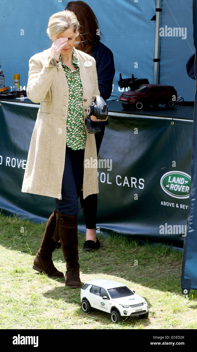 Windsor, Regno Unito. 14 Maggio, 2016. La contessa Sophie del Wessex frequentare il Royal Windsor Horse Show, si svolge nel terreno privato del Castello di Windsor RPE/Albert Nieboer/Paesi Bassi il credito: dpa picture alliance/Alamy Live News Foto Stock