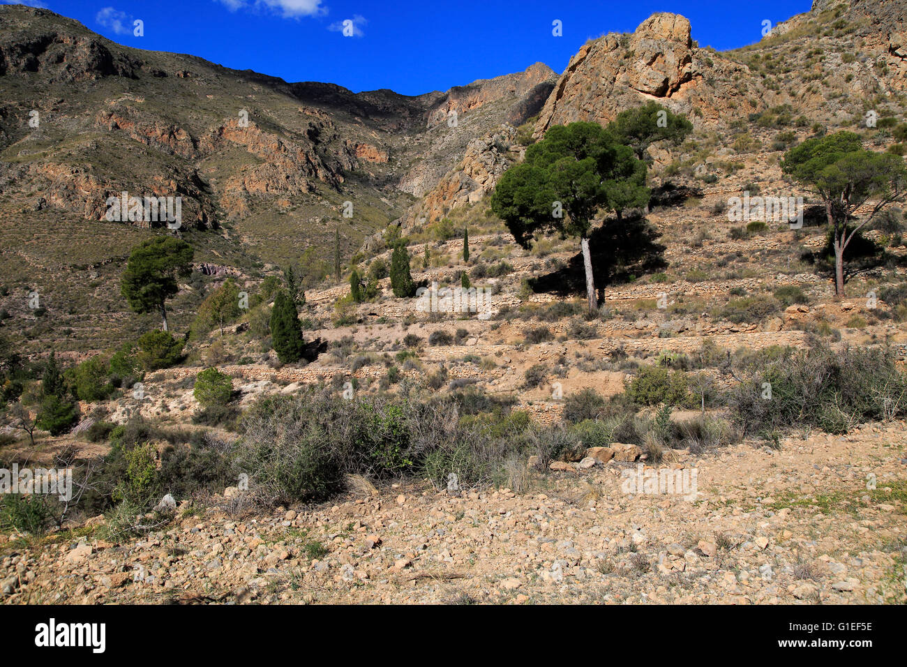 Paesaggio di campagna, Sierra Alhamilla montagne, Nijar Almeria, Spagna Foto Stock