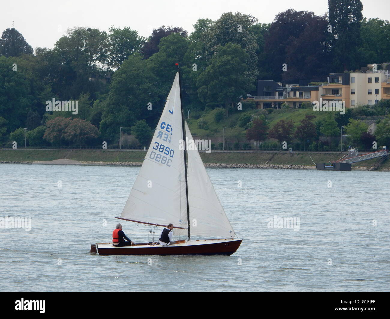 Barca a vela sul fiume Reno nel fiume Reno paese, Germania Foto Stock
