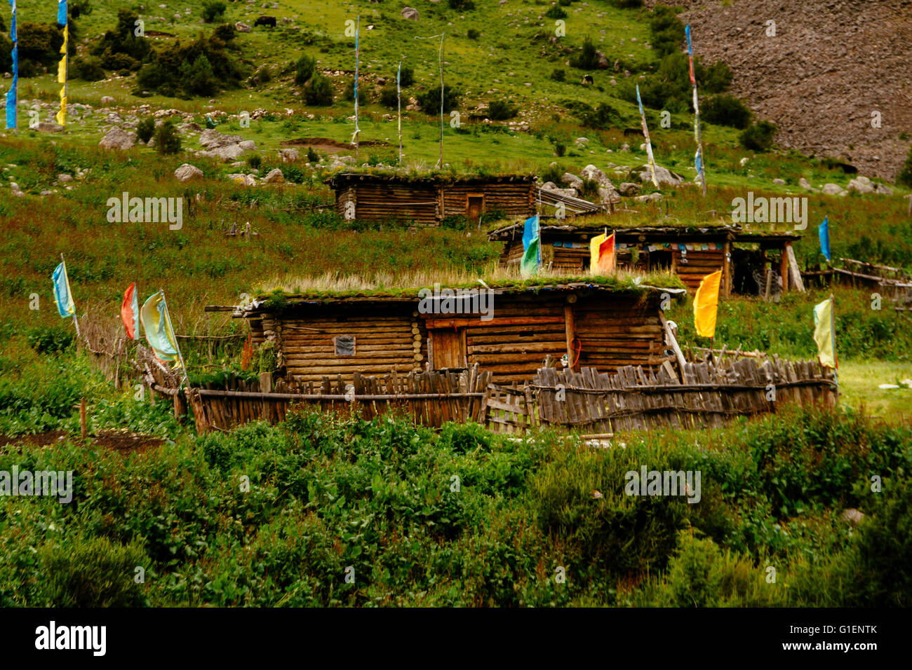 Il Batang paese, nella provincia di Sichuan, in Cina - Il punto di vista della tradizione tibetana log cabin in montagna. Foto Stock