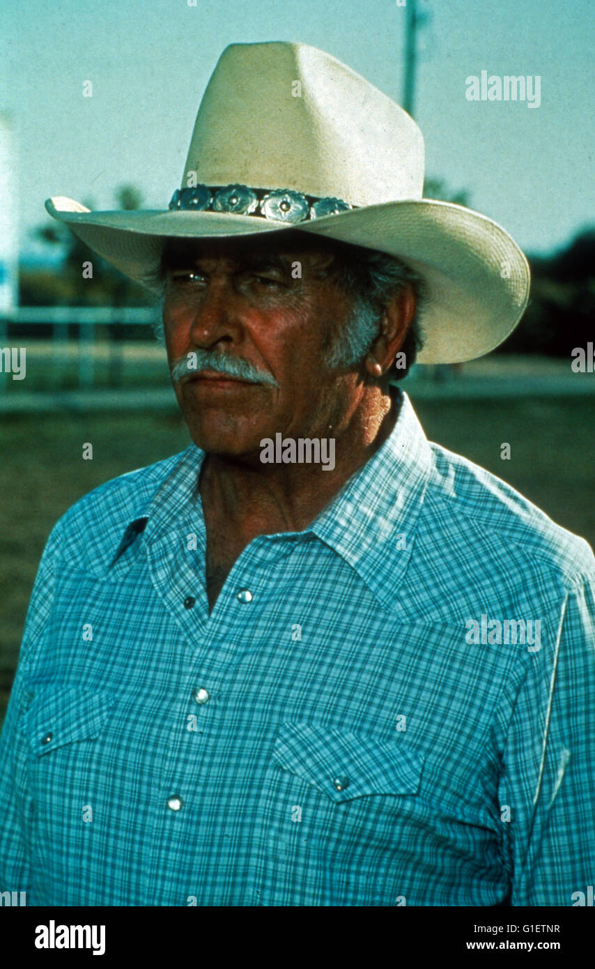 Dallas, Fernsehserie, STATI UNITI D'AMERICA 1978 - 1991, Darsteller: Howard Keel Foto Stock