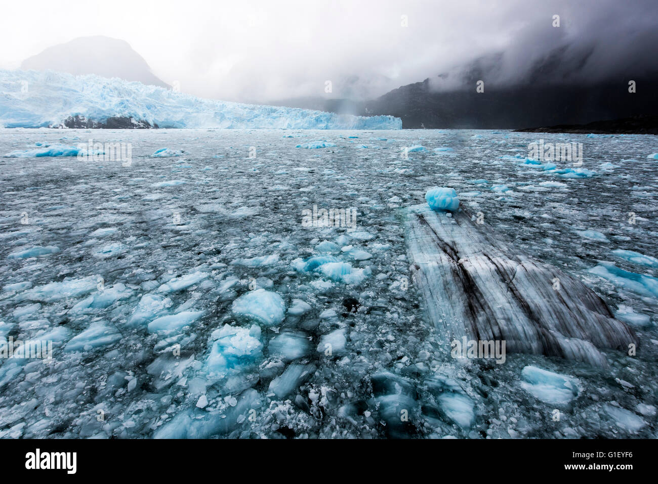 Ghiacciaio Amalia o ghiacciaio Skua Bernardo O'Higgins Parco Nazionale di Patagonia Cile Foto Stock