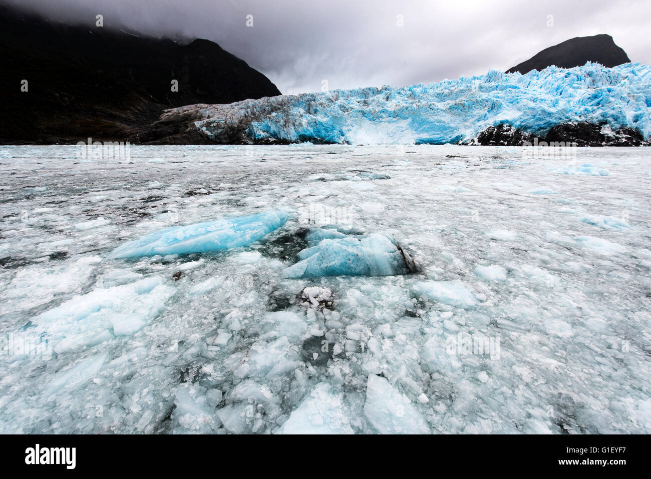 Ghiacciaio Amalia o ghiacciaio Skua Bernardo O'Higgins Parco Nazionale di Patagonia Cile Foto Stock