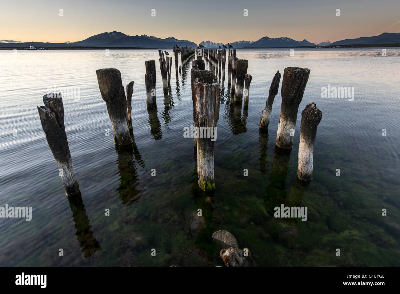 In legno antico molo di marcio al crepuscolo Puerto Natales Patagonia Cilena Cile Foto Stock