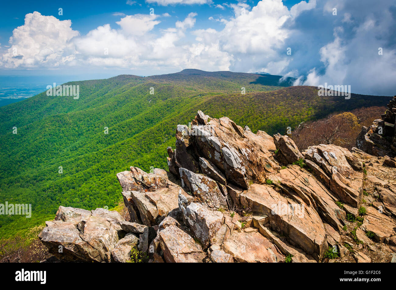 Inizio della primavera vista delle Blue Ridge Mountains da Hawksbill vertice, il Parco Nazionale di Shenandoah, Virginia Foto Stock