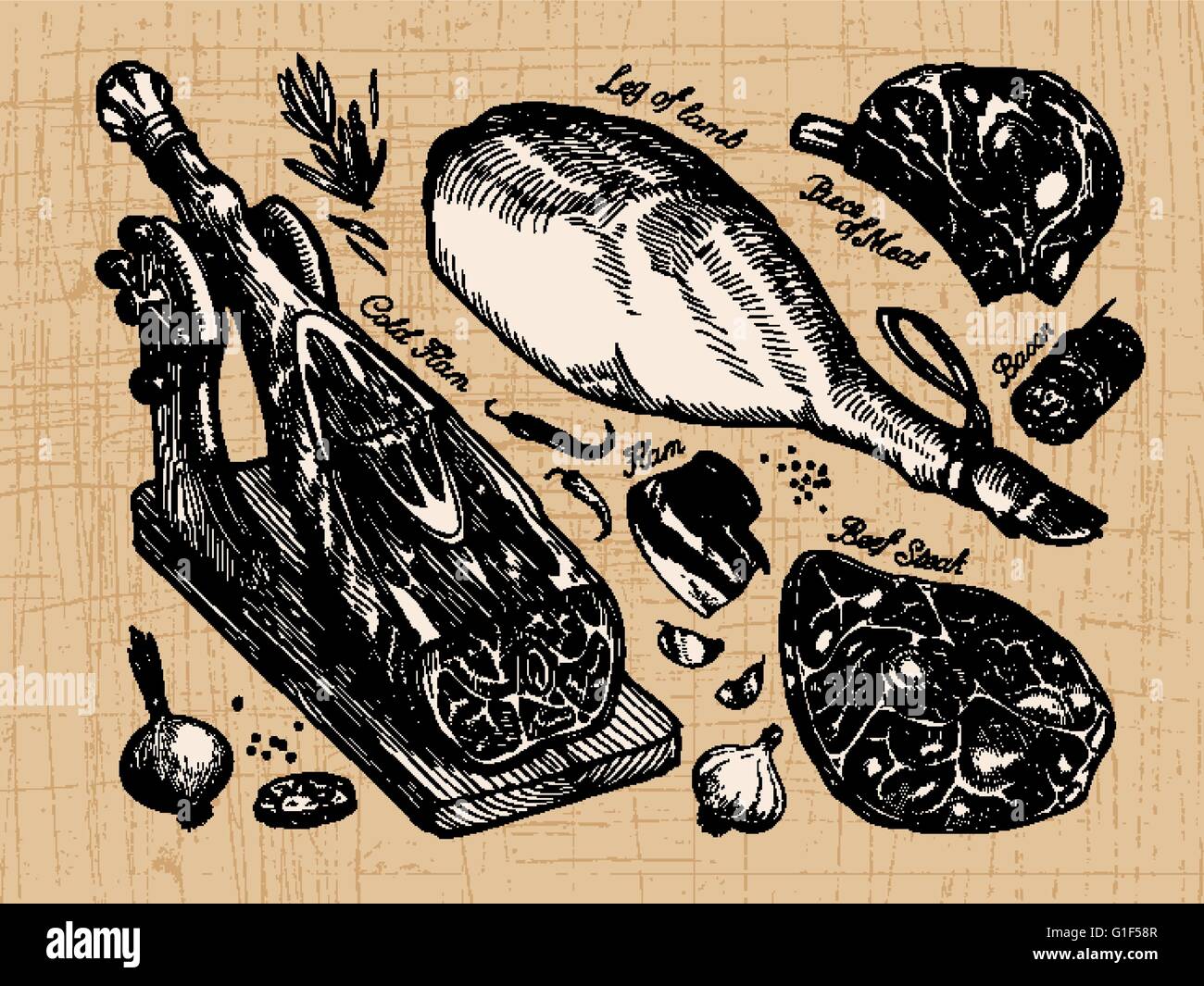 Carni fresche. set di disegno vettoriale elementi disegnati a mano. illustrazione vettoriale Illustrazione Vettoriale