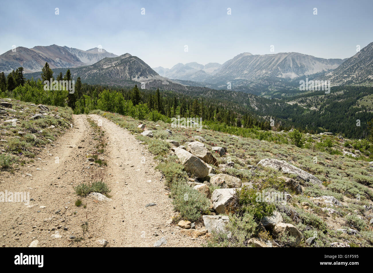 Rocky strada sterrata al di sopra di Rock Creek Valley in Sierra Nevada della California Foto Stock