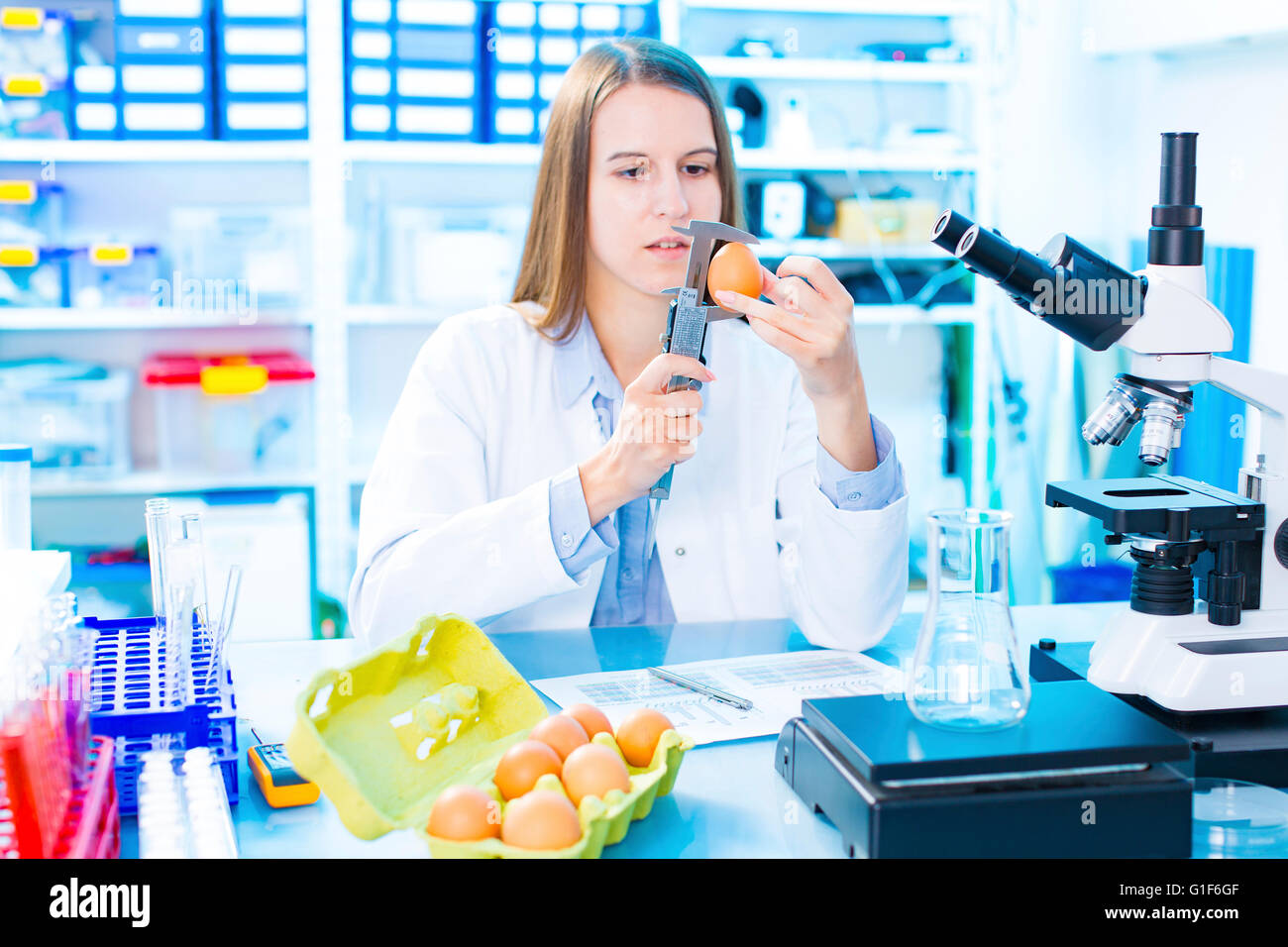 Modello rilasciato. Donna scienziato testing di un uovo in un laboratorio. Foto Stock