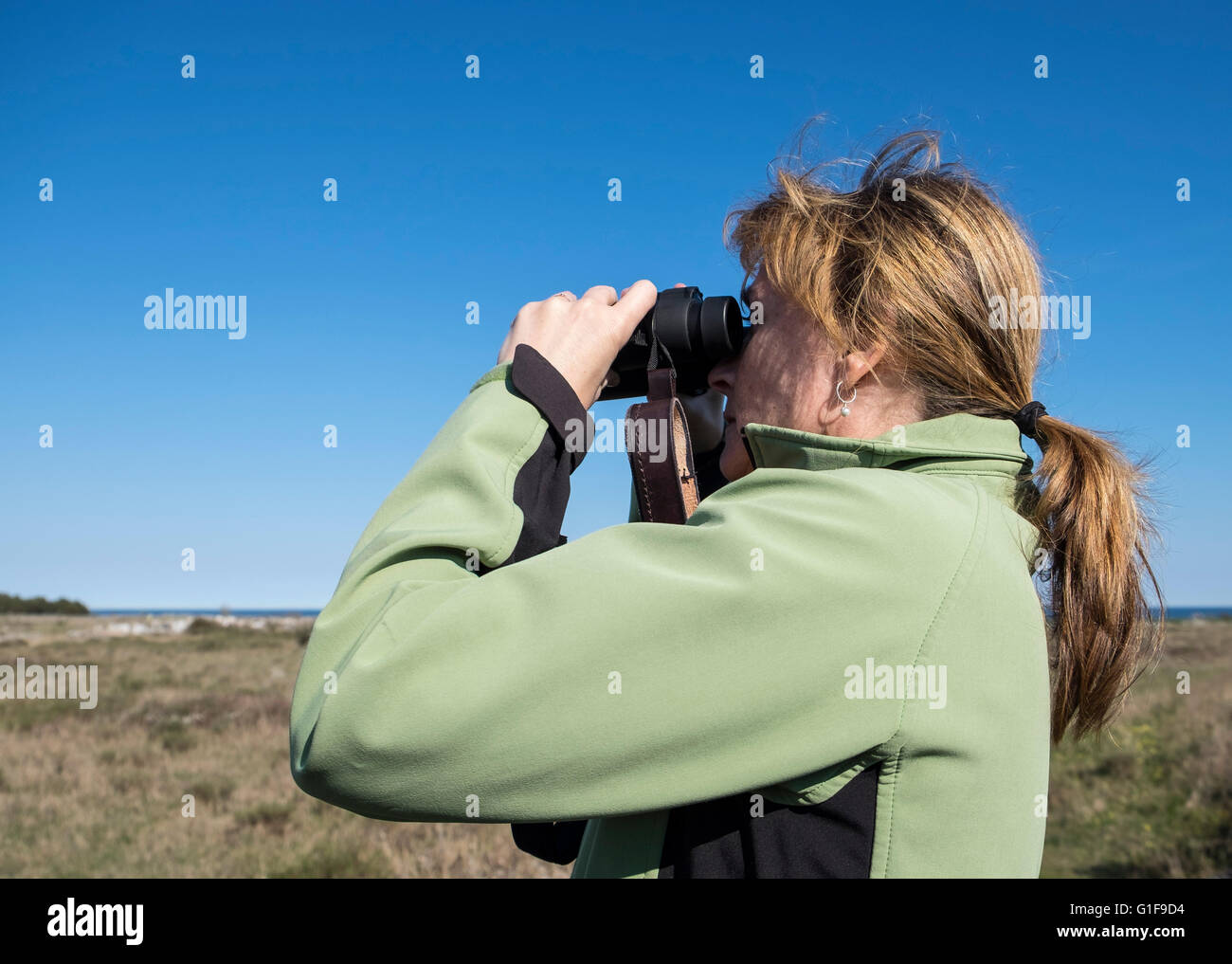 Femmina di bird-watcher Foto Stock