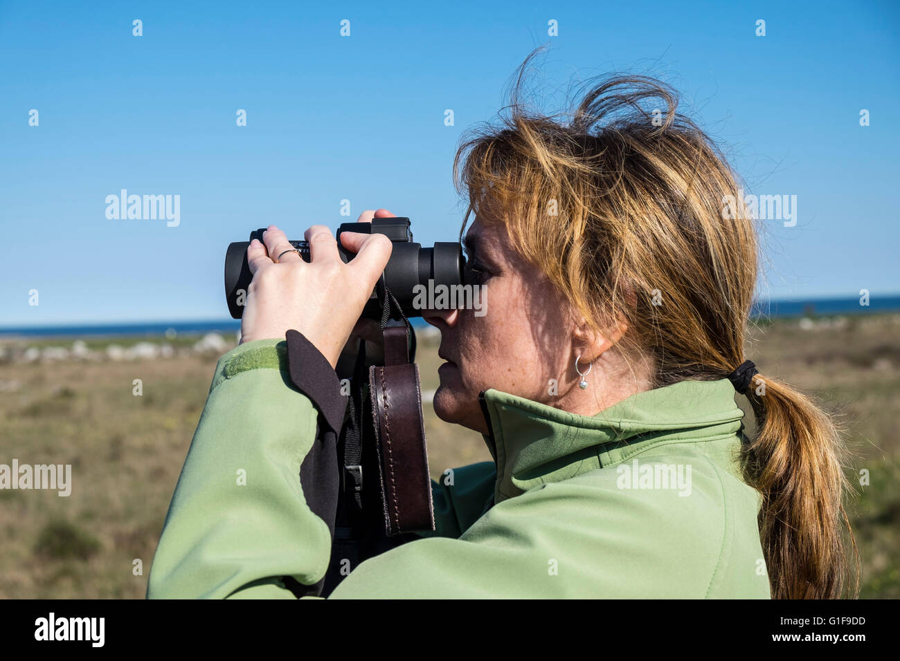 Femmina di bird-watcher Foto Stock