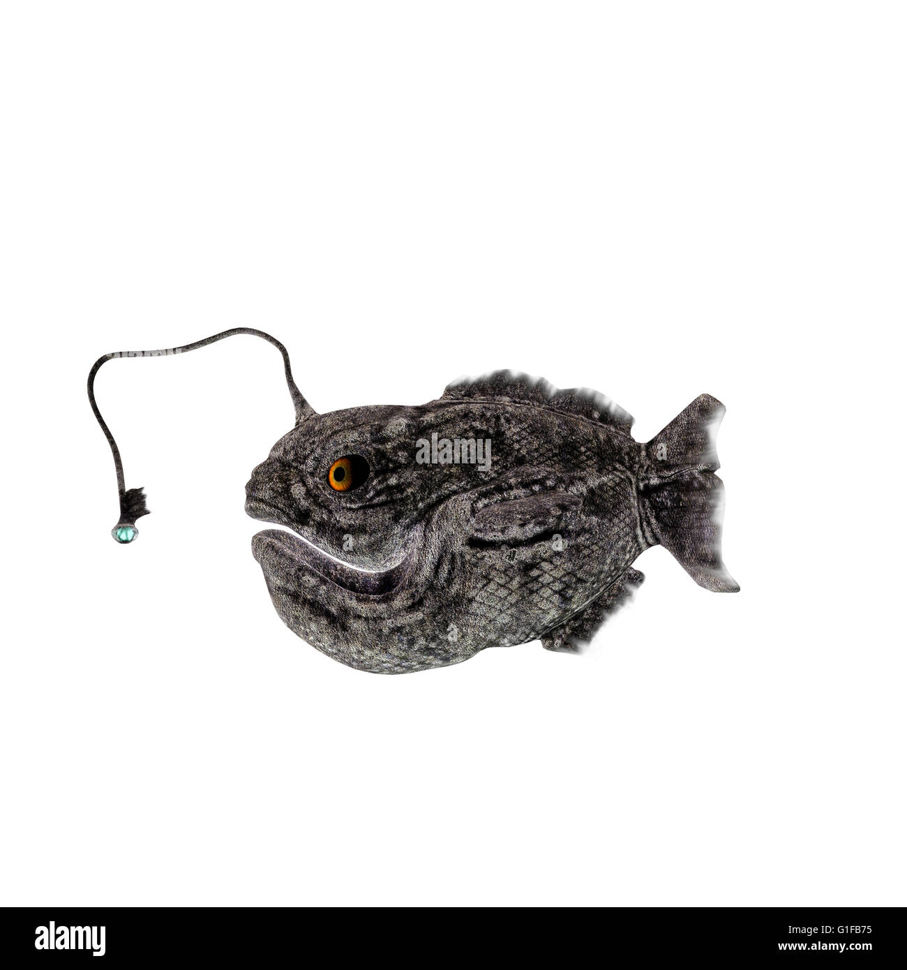 Pesce lanterna Immagini senza sfondo e Foto Stock ritagliate - Alamy