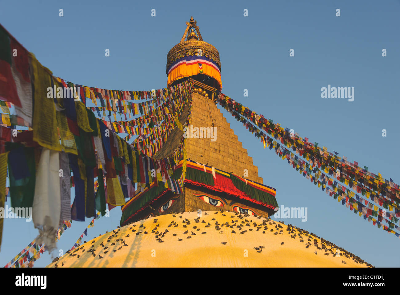 Stupa Boudhanath con centinaia di piccioni e bandiere di preghiera a Kathmandu in Nepal Foto Stock