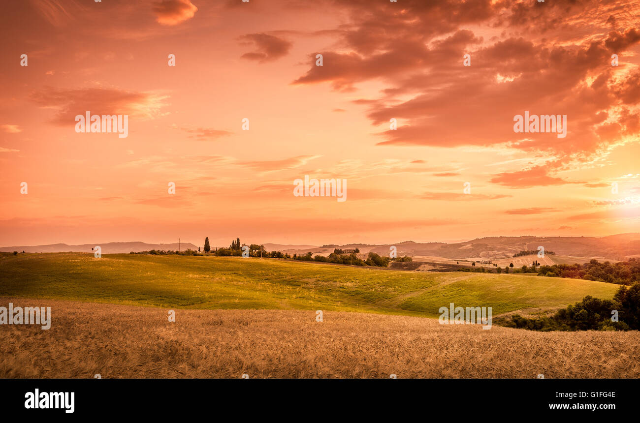 Un tramonto meraviglioso e bellissimo cielo in Toscana, Italia Foto Stock