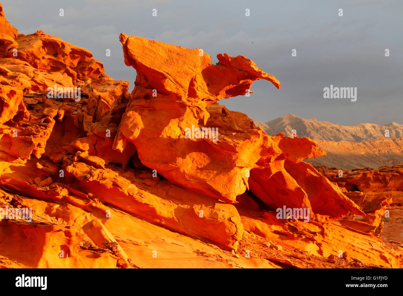 Piccola Finlandia 'monster' formazione di arenaria con belle arancione tramonto a Gold Butte vicino Mesquite, Nevada Foto Stock