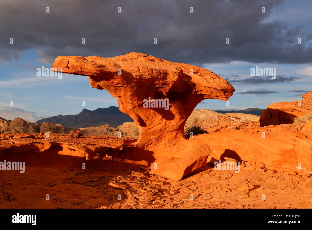 Piccola Finlandia nei pressi di Mesquite, Nevada, erosione della roccia del fungo formazione diventa arancione al tramonto con nuvole di tempesta Foto Stock