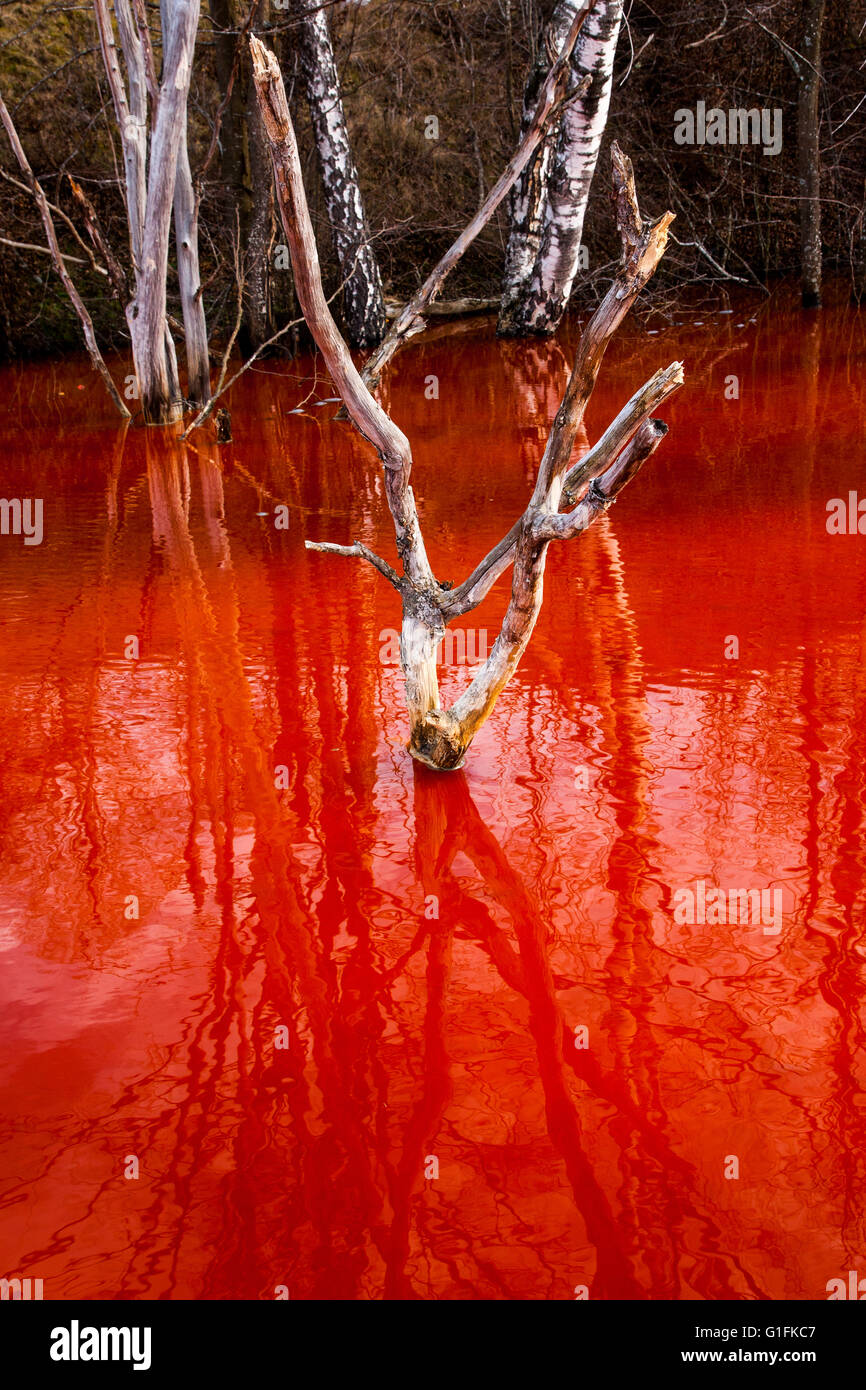 Contaminato lago rosso in Romania Foto Stock