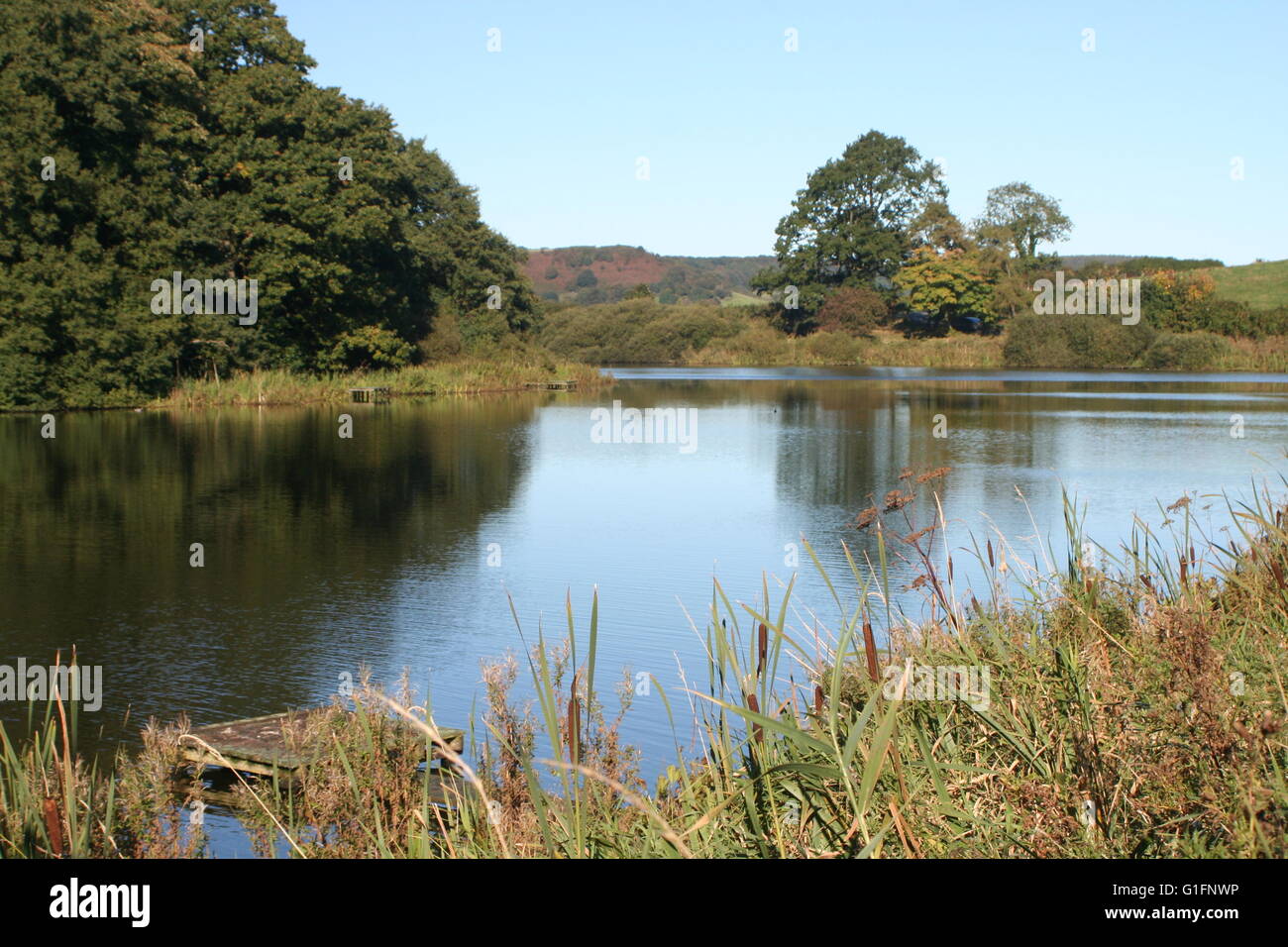 Throxenby Mere Foto Stock
